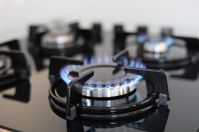 Economic Potential Of Gas Developments For Both Countries