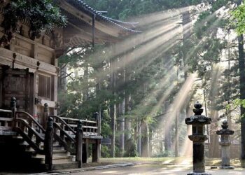 USDC Expands into Japan with Local Entity – Altcoin Buzz
