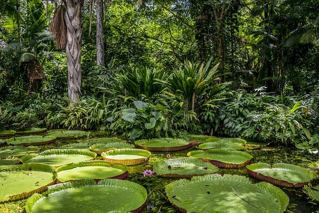 Assessing Amazon Nova’s Impact on SMEs Across Asia Pacific