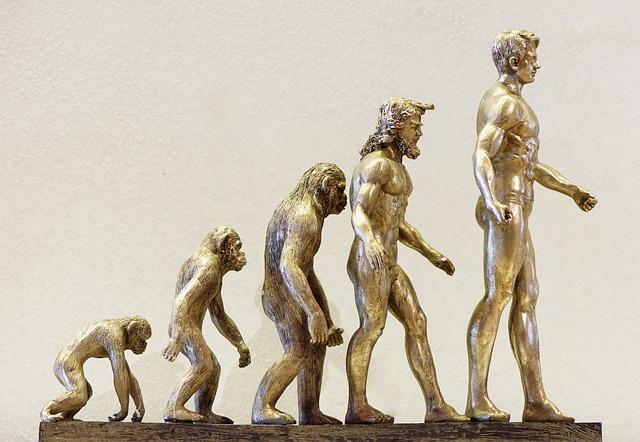Implications for Understanding Human Evolution