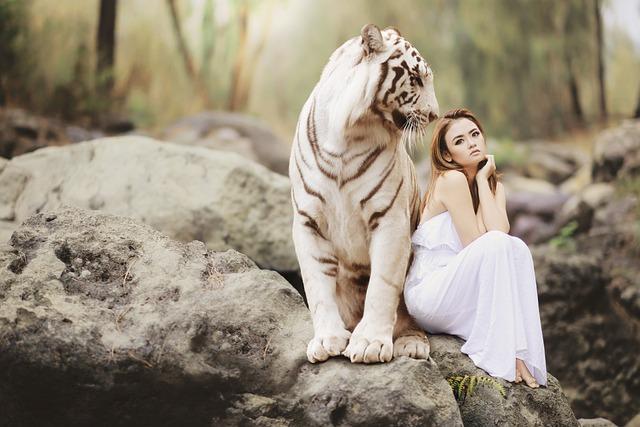 The Debate on Tiger Numbers in Nepal