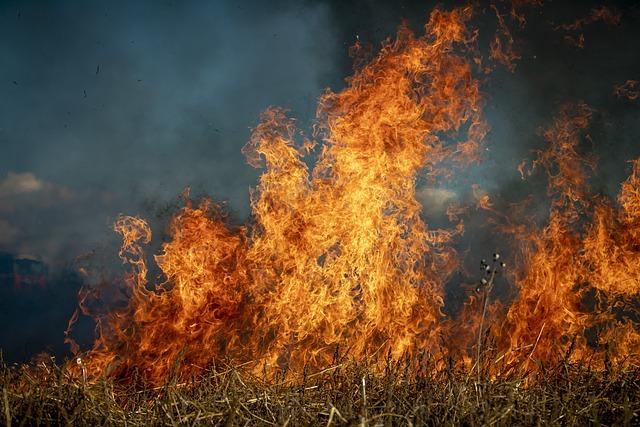 The Underlying Causes of Increased Wildfires Examined 