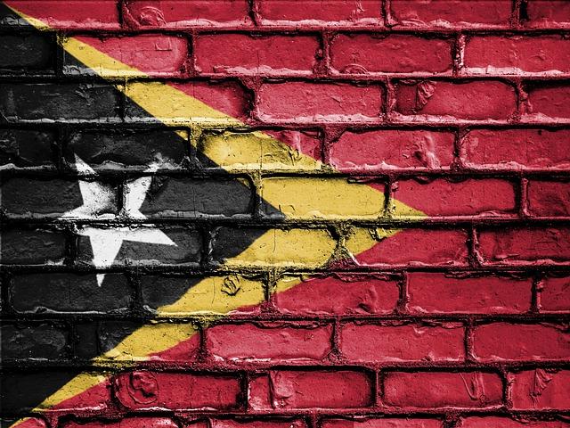 Comparing Historical Struggles: East Timor and Palestine