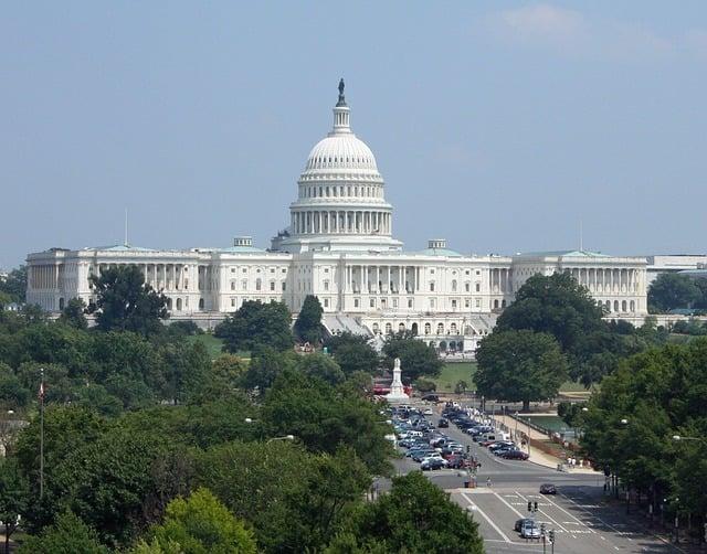 Political Dynamics and Their Economic Consequences