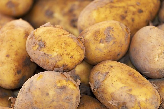 Significance of Potato Cultivation