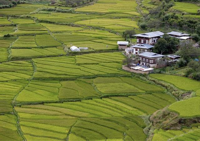 In Bhutan: A Priapic Obsession And Real Luxury In A 300-Year-Old Farmhouse In The World's Happiest Country - NDTV
