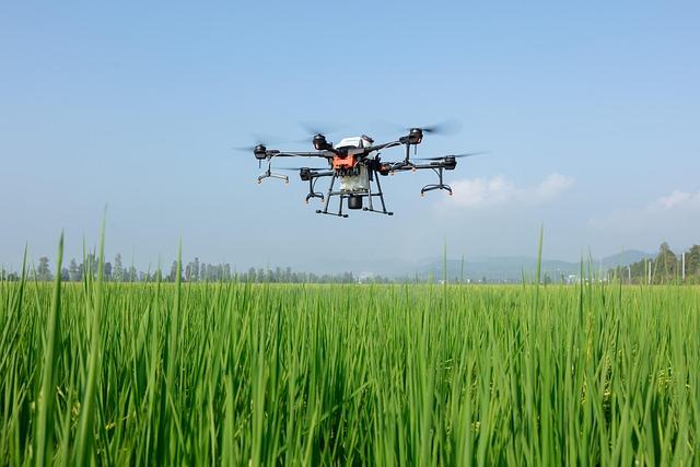 Evaluating Market Potential for Smart Ordering Systems in Indonesia