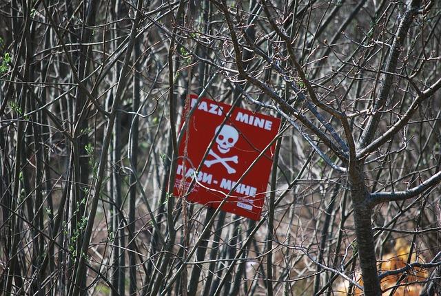 Humanitarian Crisis: The Hidden Dangers of Landmines for Returning Syrians