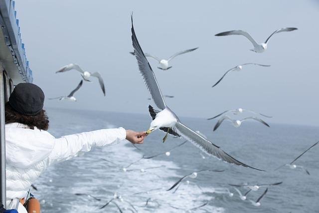 The Moment of Truth: A Transformative Decision-Making Experience