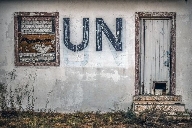 Objectives and Implications of Volker Türk's Visit