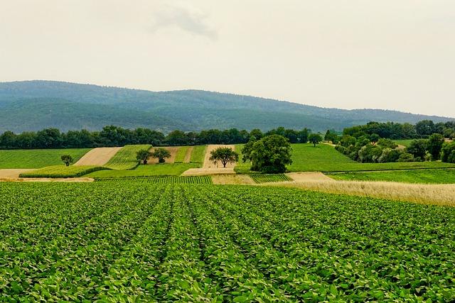 Implications for Agriculture and Food Security
