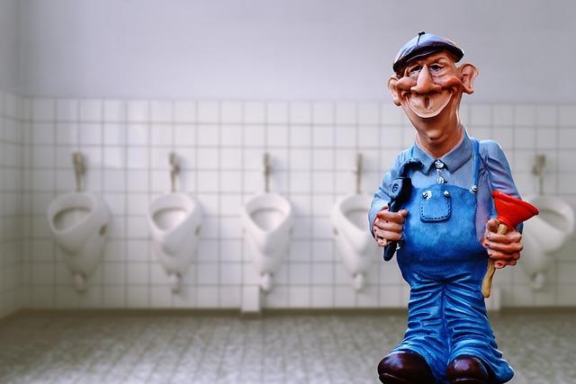 Health & Hygiene Impact : Clogged Toilets Affecting Passenger Comfort