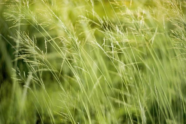   Environmental Considerations And Sustainability In Cmrec Projects