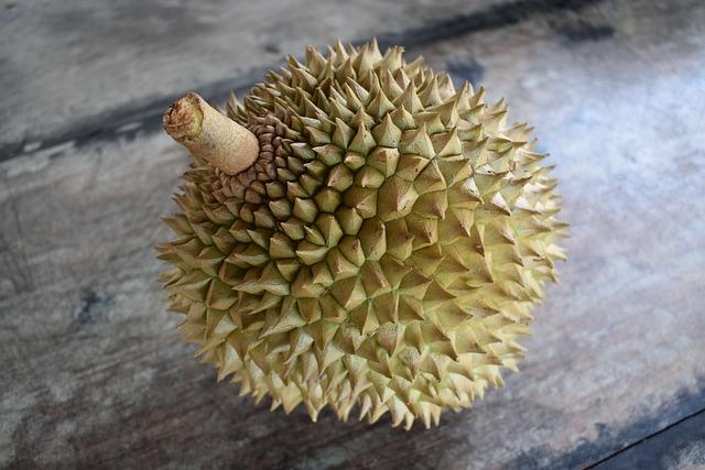 Exploring Growing Demand For Durain In Chines Markets