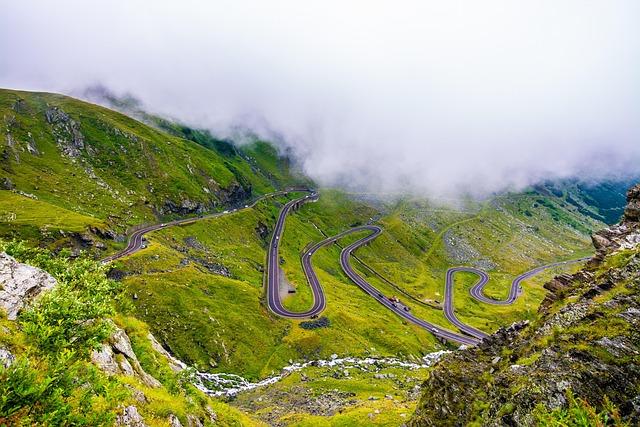 Top Powerboat Routes to Spot Iguanas