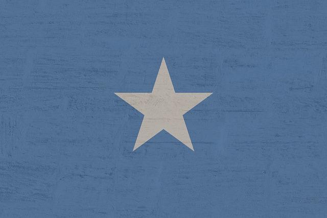 Overview of Somalia’s Diplomatic Initiatives in Central Asia