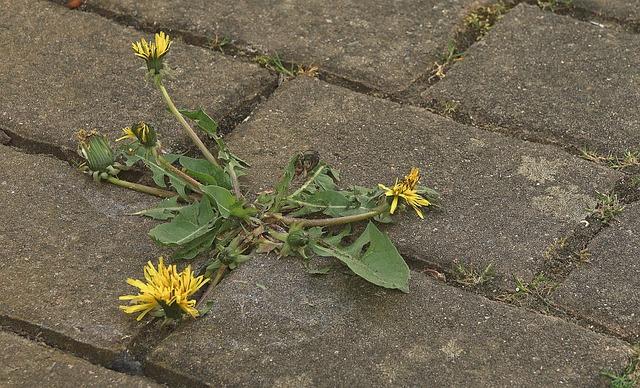 Restoring Resilience: Long-term Support for Affected Regions