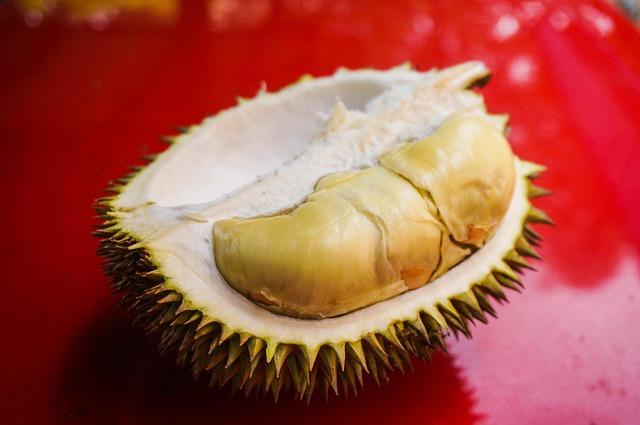 Challenges Encountered In Transportation Of Frozen Durians