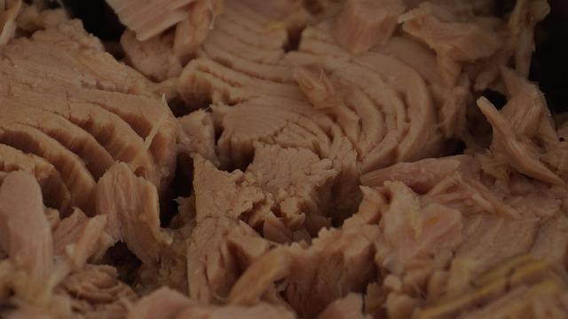 Chinese Tuna Fishing Sector: A Revenue Stream for North Korean Laborers