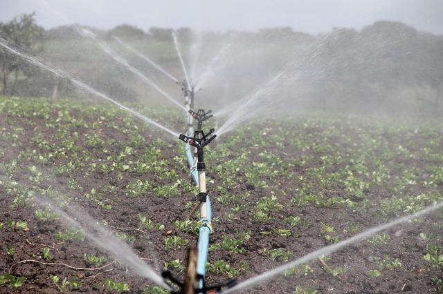 Innovative Irrigation Techniques Shaping Sustainable Farming Practices