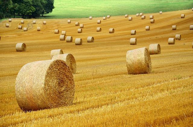 Sustainable Solutions Explored by Farming Professionals at Agritechnica Asia