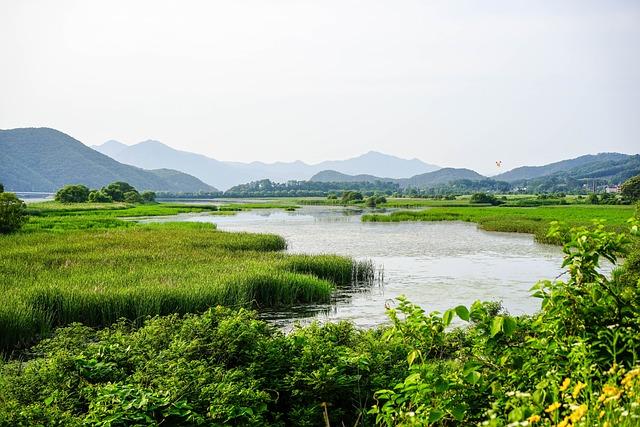 Ecological Importance Of siphanodnes' Wetlands