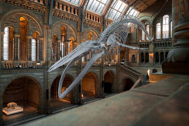 The Role Museums Play In Public Discourse: Recommendations From Bonny