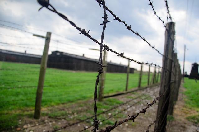 International Responses To Allegations Of Genocide: Expectations And Challenges