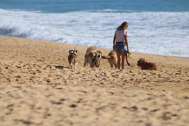 Personal Stories From Aussies Volunteering In E.T.