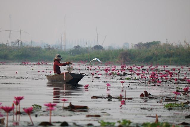 Economic Collaboration Opportunities Within Southeast Asia