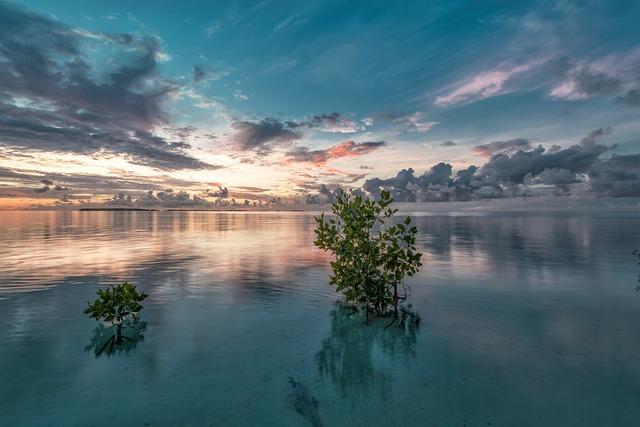 Indonesia's Ongoing Battle Against Drug Smuggling in Bali