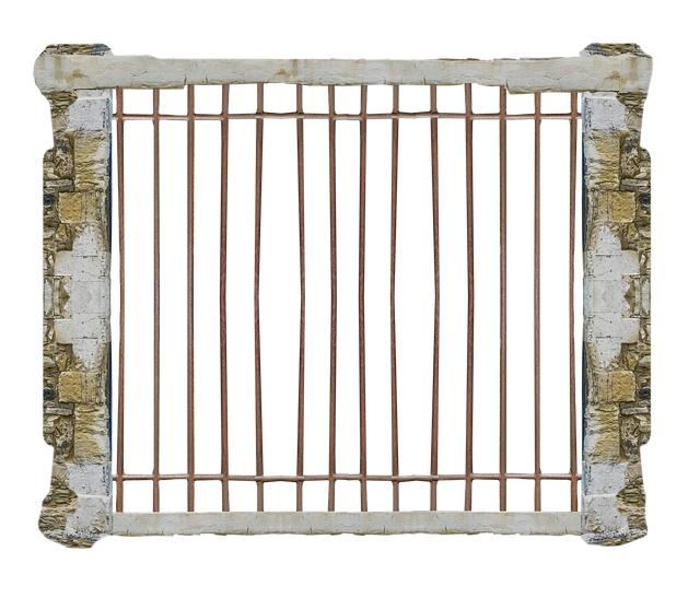 Rebuilding Academic Networks Post-Incarceration
