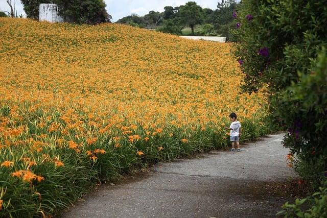 Taiwan’s youth perspectives on military engagement