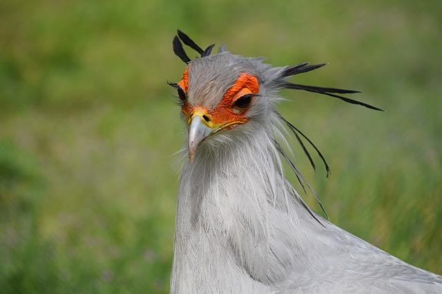 U.S. Commerce Secretary Remarks on Kuwait Trade Policies Spark Backlash