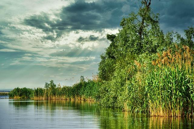 Experiencing Diverse Ecosystems Along The Route