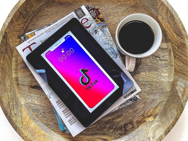 Examining TikTok as an Instrument for Crisis Communication