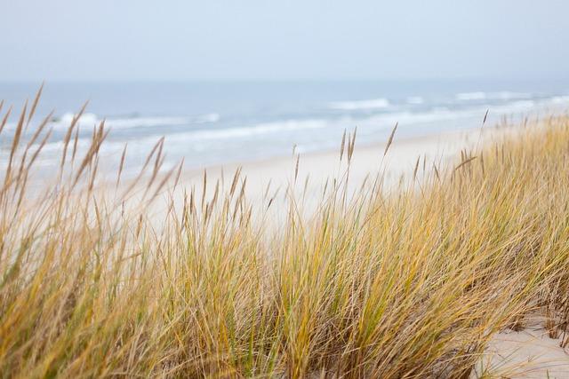 Impact of Escalating Violence on Civilian Population in Coastal Areas