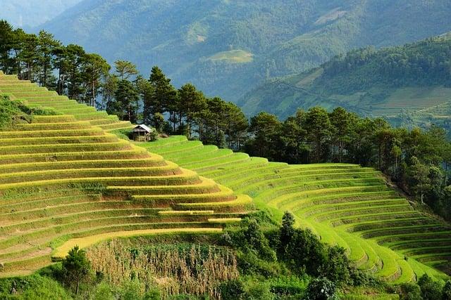 Asia Leads in Multinational Investments in Dubai
