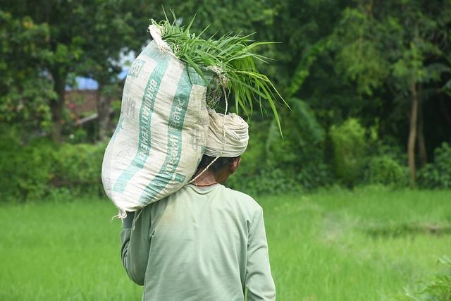 Displacement and Identity: The Struggle of Ethnic Nepalis in Bhutan's Mindfulness City