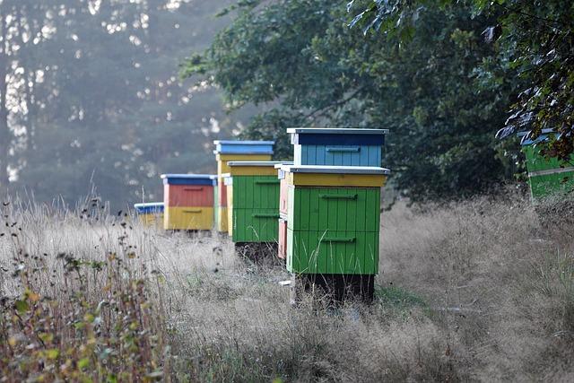 Strategies For Bee Conservation Amidst Climate Threats