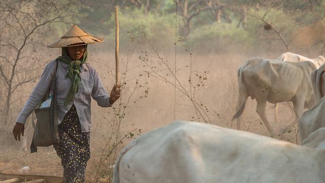 Disinformation Challenges for Myanmar Migrants in Thailand