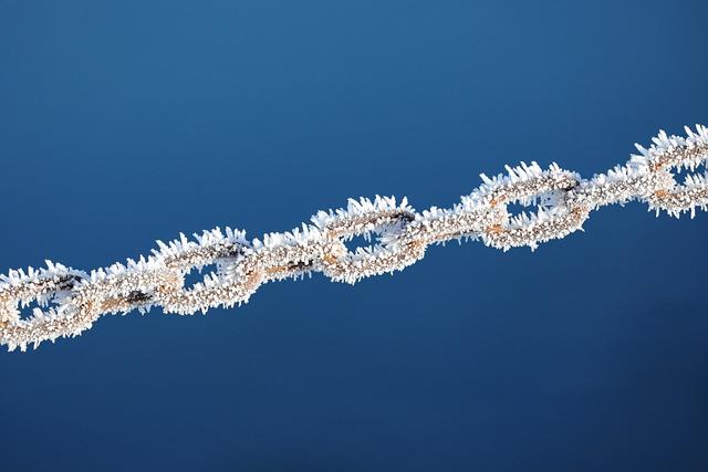 Analyzing Chain Deportations: Policies at Play
