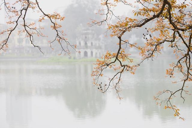 Key Drivers of Vietnam's Economic Expansion