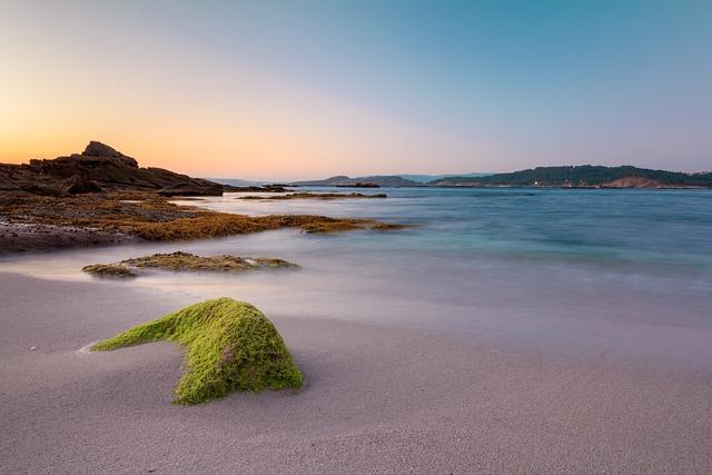 The Role Of Mindfullness In Sustainable Development : Promoting Mental Health And Well Being