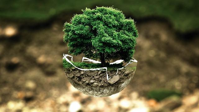 Environmental Sustainability: Balancing Progress with Preservation