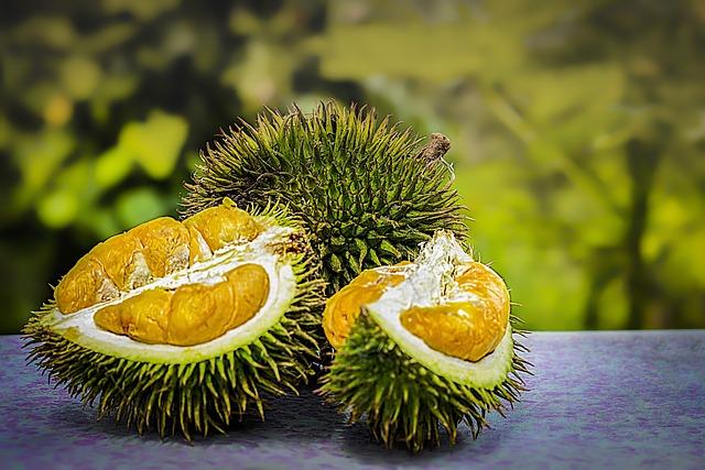 Logistics Behind Successful Frozen Durian Export