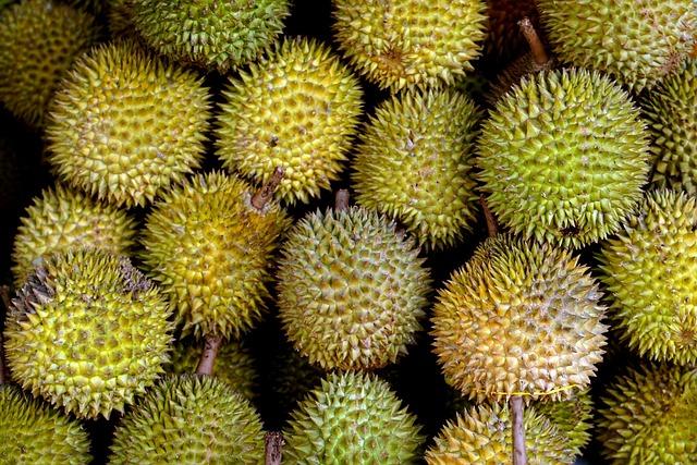 Indonesia set to launch direct durian exports to China - FreshPlaza.com