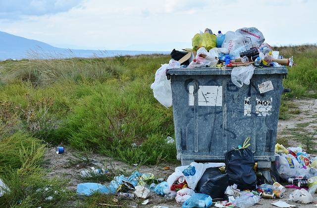 Indonesia's Plastic Waste Import Ban: Challenges in Implementation