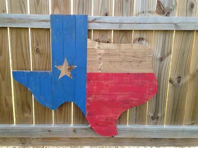 Recommendations for Texas to Rebuild Moving Forward