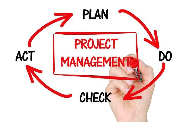 Key Priorities for Project Portfolio Management by 2025